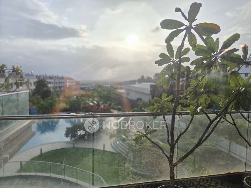 3 BHK Villa In Supreme Villagio for Rent  In Shirgaon