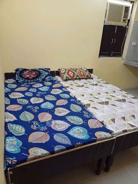 PG for Anyone in Bajidpur