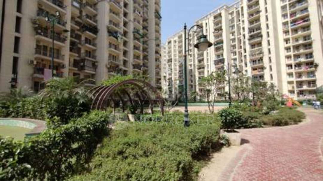 2 BHK Flat In Raksha Adella for Rent  In Raksha Addela