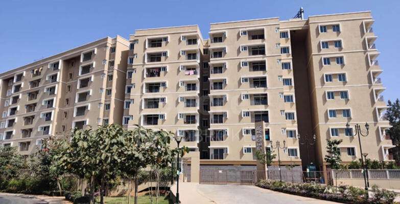2 BHK Flat In Kino At Brigade Orchards,  Bychapura For Sale  In Kino At Brigade Orchards