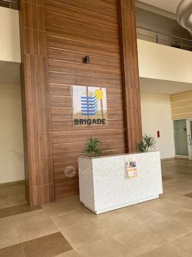 2 BHK Flat In Kino At Brigade Orchards,  Bychapura For Sale  In Kino At Brigade Orchards