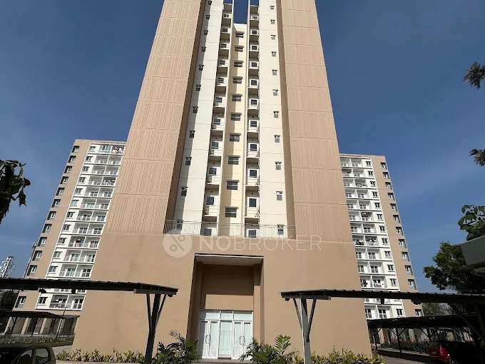 2 BHK Flat In Kino At Brigade Orchards,  Bychapura For Sale  In Kino At Brigade Orchards