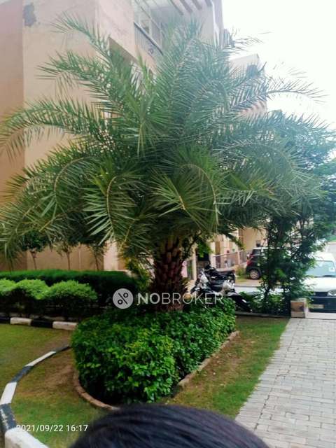 3 BHK Flat In Supertech Oxford Square For Sale  In Sector-16b