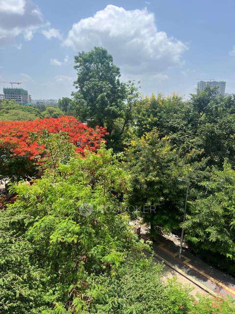 2 BHK Flat In Ayush River Park View For Sale  In Wakad
