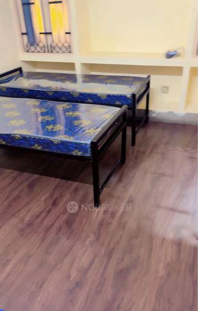 PG for Girls in Padmarao Nagar