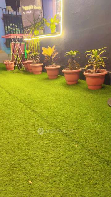 PG for Girls in Padmarao Nagar