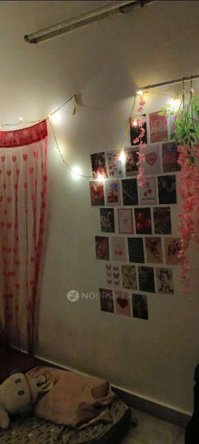 Single Room for Female In 3 BHK  In Premier Homes In T Nagar 