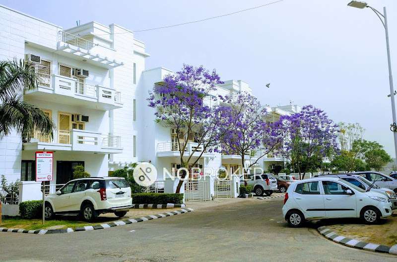 3 BHK Flat In M2k The White House For Sale  In Sector 57