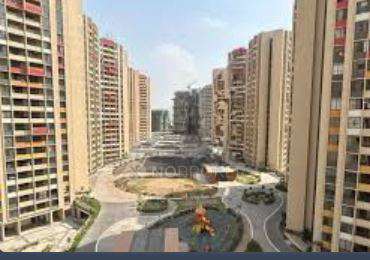 1 BHK Flat In Joyville Celestia for Rent  In Shewalewadi