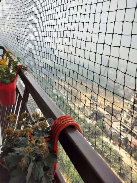 3 BHK Villa In Scc Sapphire  For Sale  In Raj Nagar Extension