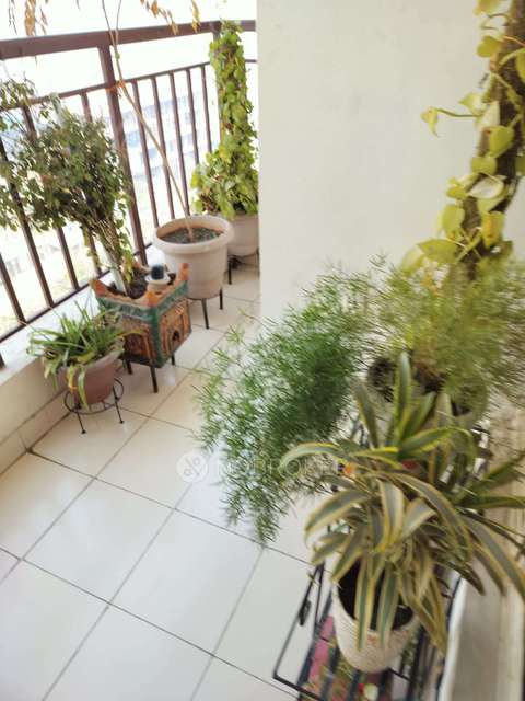 3 BHK Villa In Scc Sapphire  For Sale  In Raj Nagar Extension