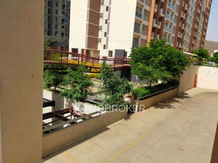 2 BHK Flat In Kohinoor Tinsel County for Rent  In Hinjewadi