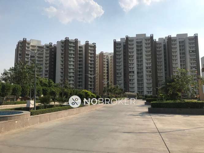 3 BHK Flat In Police Officers Multi- State Cooperative Housing Society Ltd. for Rent  In Sector 49 Police Officers Multi State Cooperative Housing Society Ltd.