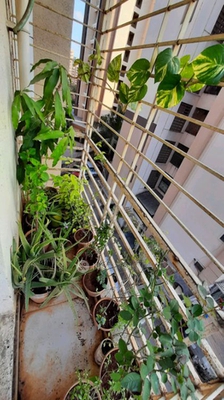 1 BHK Flat In Arihant Plaza For Sale  In Mira Road East