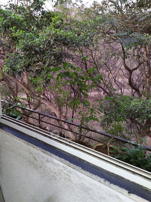 1 BHK Flat In State Bank Nagar Pashan Panchavati  for Rent  In Pashan Road, Pashan