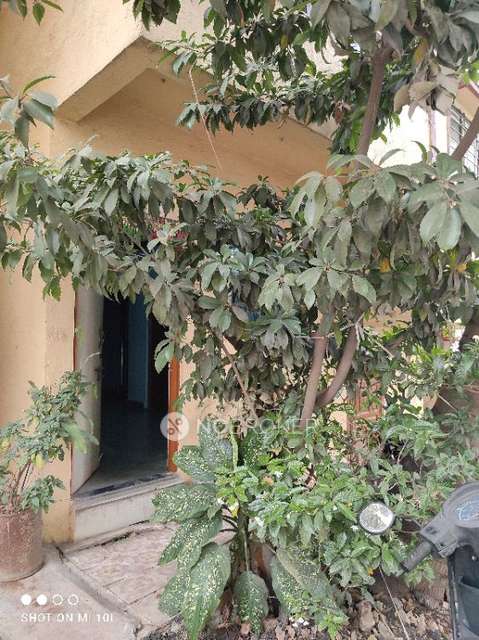 2 BHK House for Rent  In  Rahatani