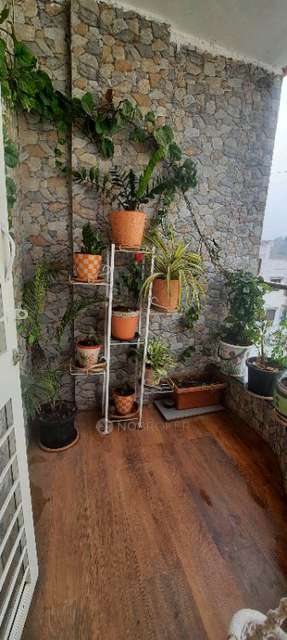 2 BHK Flat In Maitreya Heights  for Rent  In Gpww+j6f, Near Nana Sasar Banglow, Sus, Pune, Maharashtra 412115, India