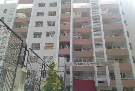 1 BHK Flat In White Lily for Rent  In White Lily