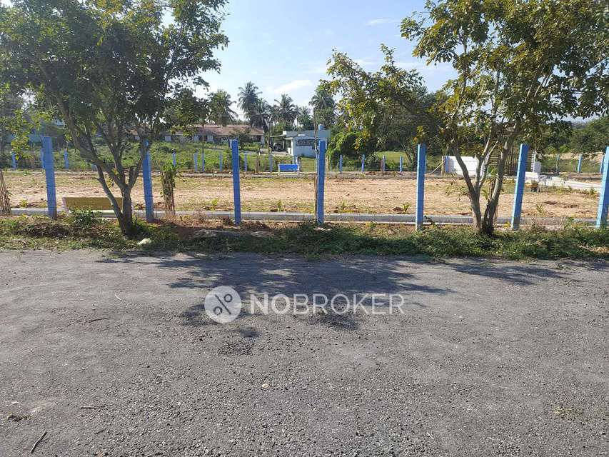 Plot For Sale  In Sln City, Sulivara Village