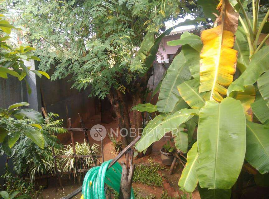 3 BHK House For Sale  In Nagondanahalli