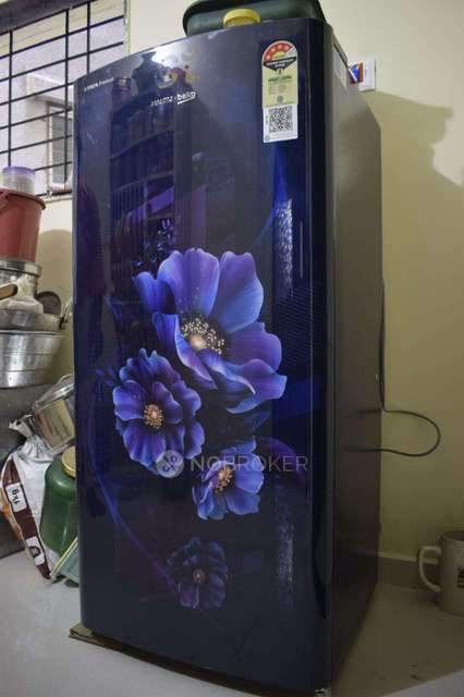 PG for Anyone in Baner