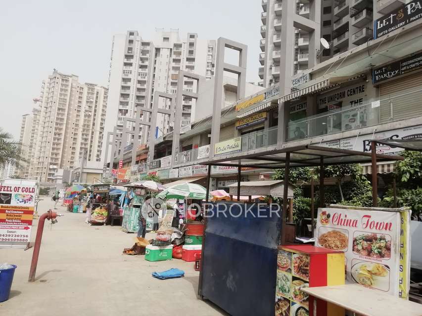 3 BHK Flat In Shri Radha Sky Gardens For Sale  In Sector 16b