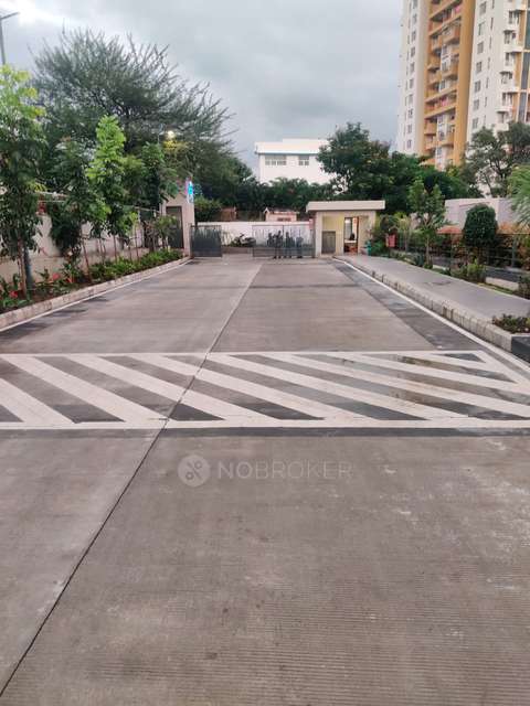 1 BHK Flat In Gera Adara for Rent In Hinjawadi,