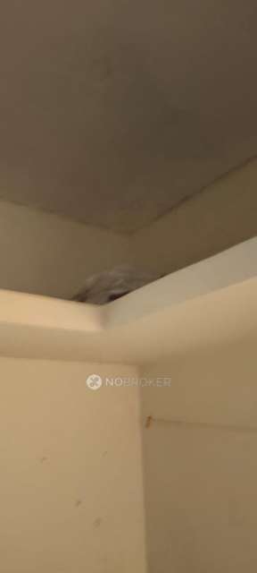 1 BHK House for Rent  In Pimpri-chinchwad