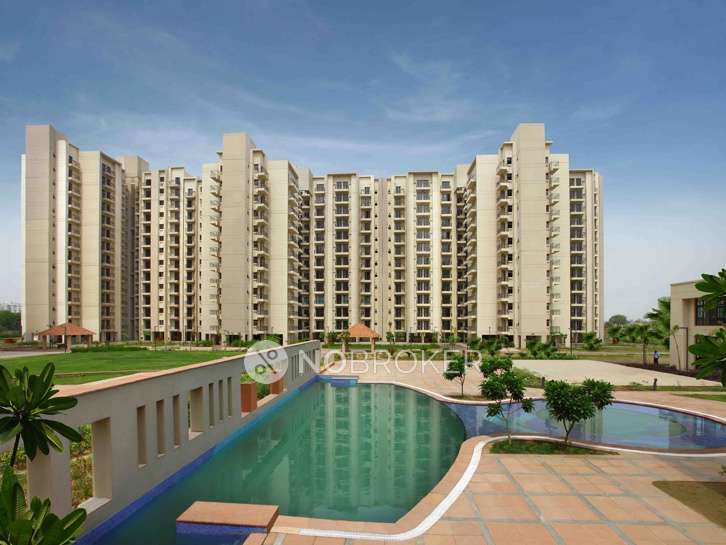 2 BHK Flat In Umang Winter Hills Dwarka for Rent  In Dwarka