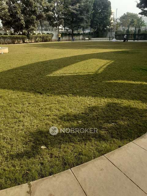 2 BHK Flat In Ivy Botanica for Rent  In Wagholi