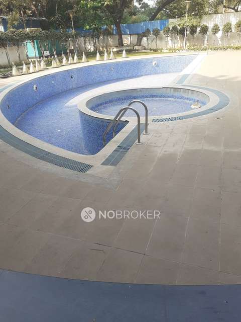 2 BHK Flat In Ivy Botanica for Rent  In Wagholi