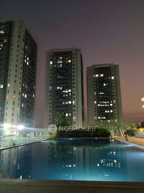 3 BHK Flat In Mittal High Mont for Rent  In Hinjewadi