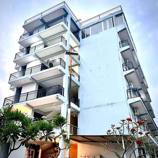 PG for Anyone in Sector 51