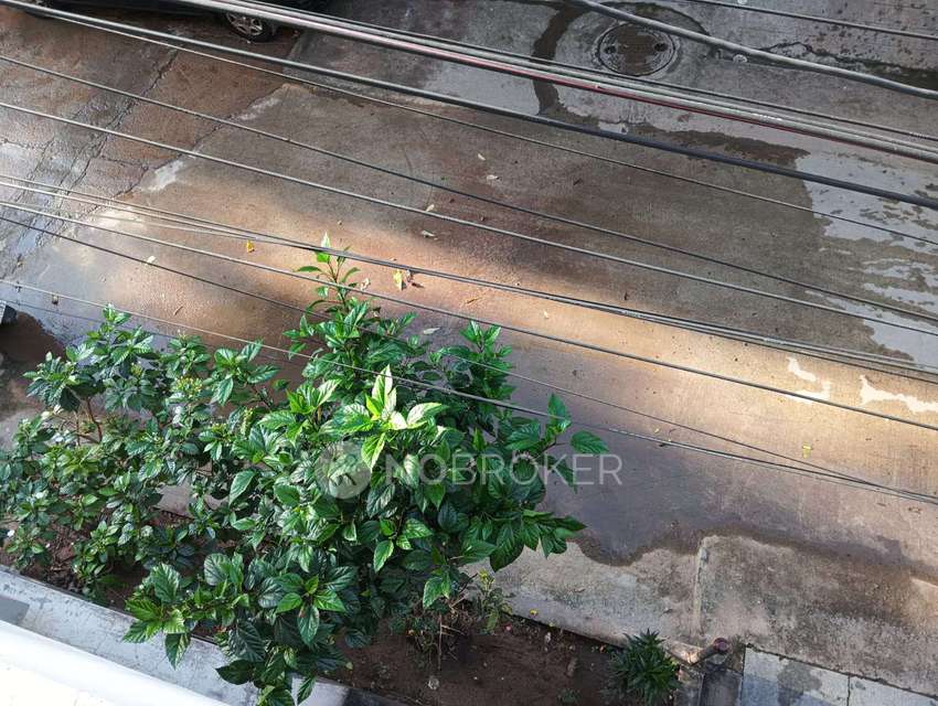 3 BHK Flat In Padmaja Nivas For Sale  In Kothapet