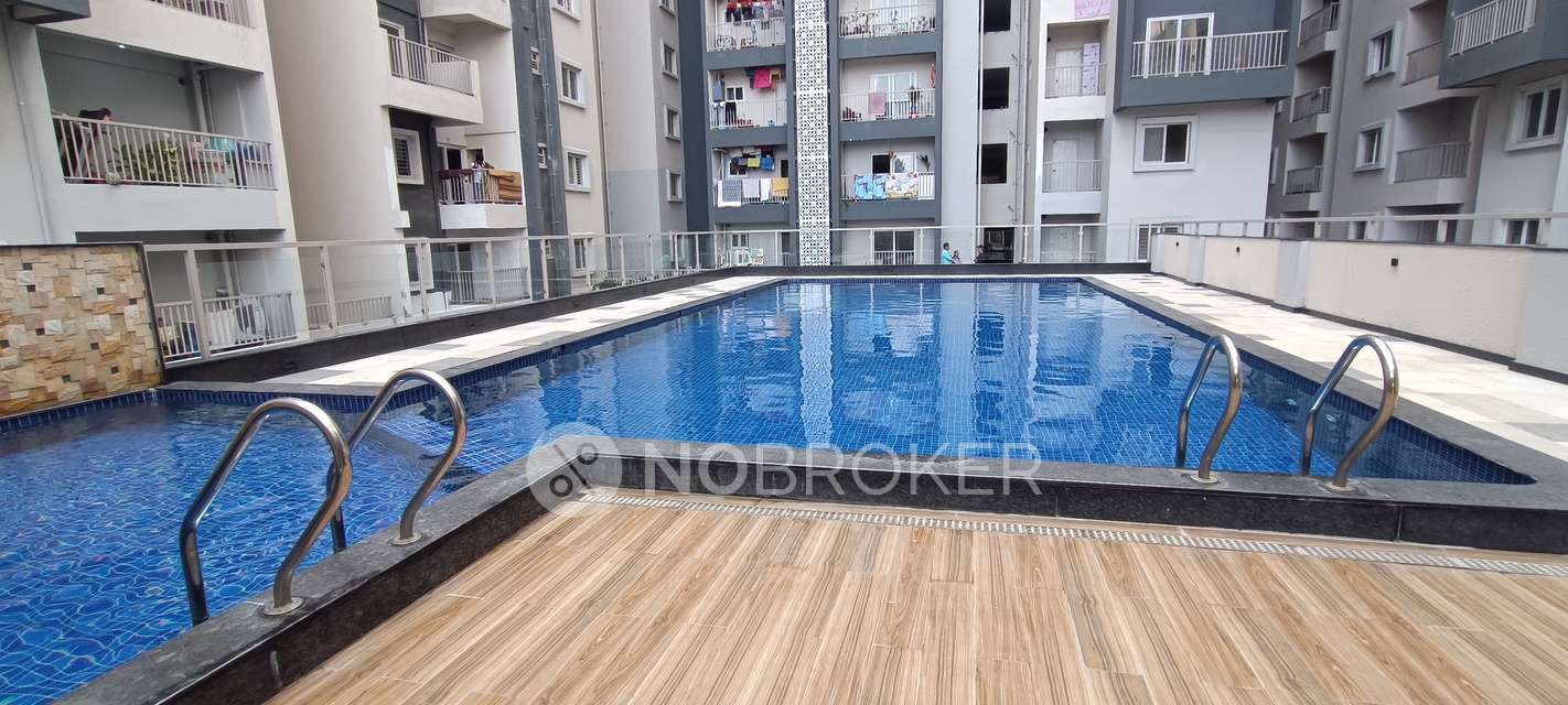 3 BHK Flat In Ds-max Skyclassic for Rent  In Electronic City