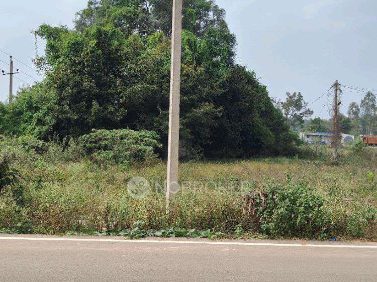 Plot For Sale  In Kadabagere