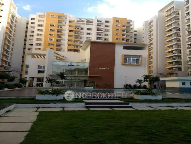3 BHK Flat In Mjr Pearl for Rent  In Kadugodi