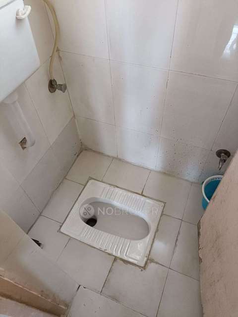 1 BHK Flat In Platinum Park For Sale  In Narhe