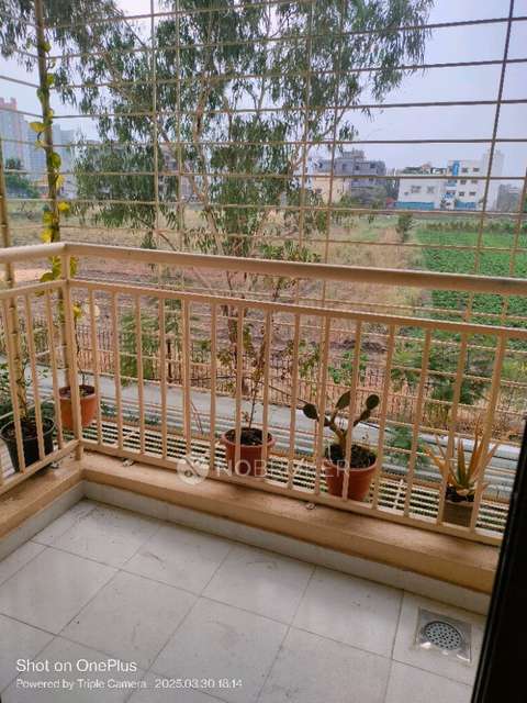 2 BHK Flat In Address One for Rent  In Gahunje