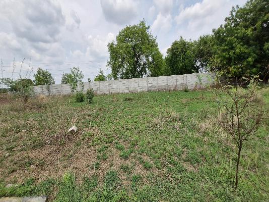 Plot For Sale  In Bhanur 