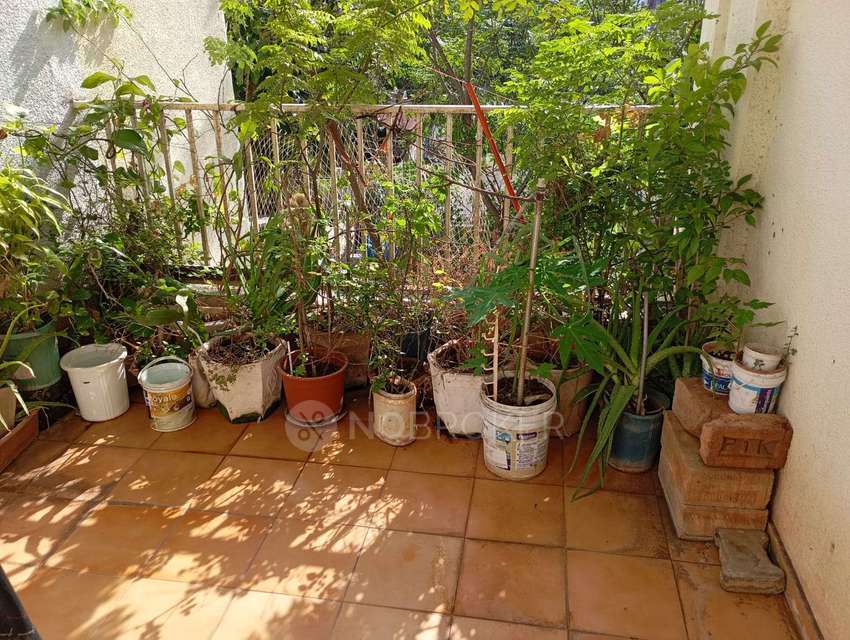 2 BHK Flat In Crystal Building for Rent  In Dhayari 