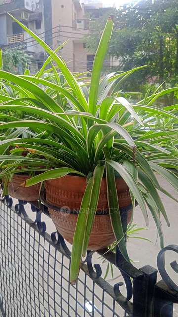 2 BHK House For Sale  In Ramesh Nagar