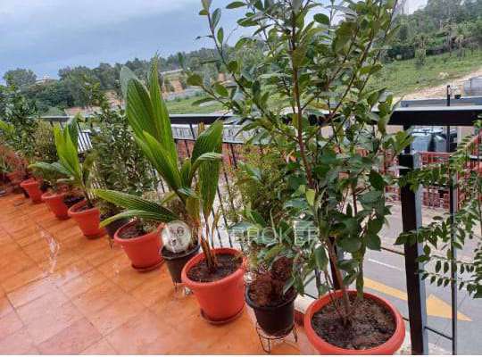 2 BHK Flat In Salarpuria East Crest For Sale  In Kr Puram