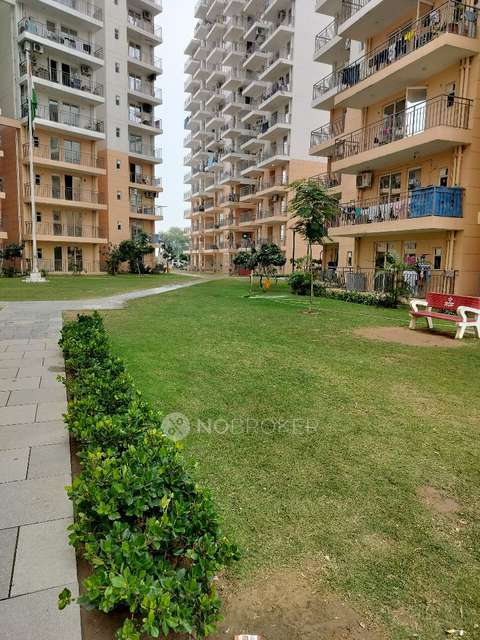 3 BHK Flat In Rof Amaltas For Sale  In Sector 92