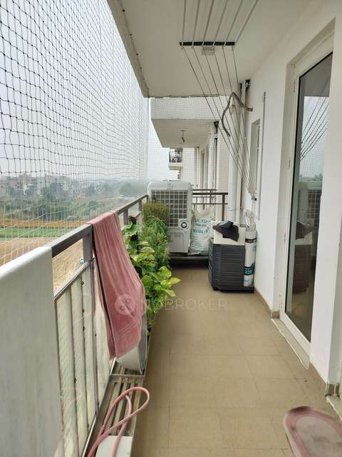 3 BHK Flat In Rof Amaltas For Sale  In Sector 92