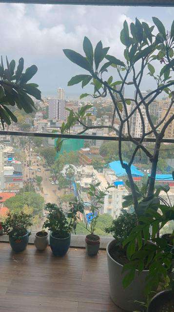 3 BHK Flat In Ekta West Bay For Sale  In Bandra West