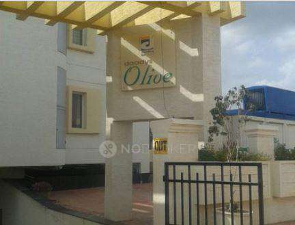3 BHK Flat In Daadys Olive For Sale  In Electronic City