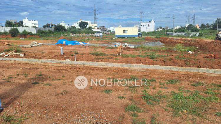 Plot For Sale  In Arishinakunte (towards Nelamangala)