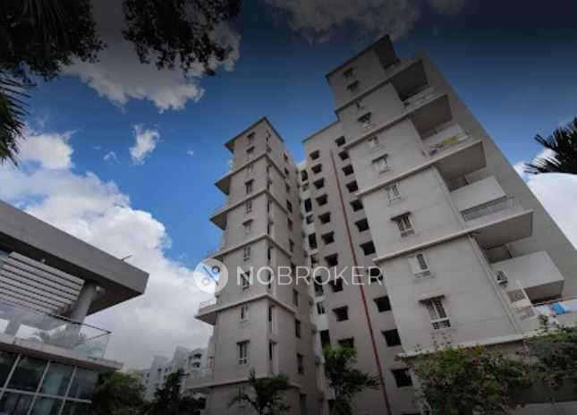 1 BHK Flat In Avli Apartment For Sale  In Koregaon Bheema,