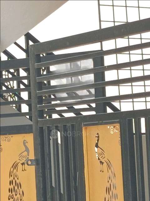 1 BHK Flat In Standalone Building for Rent In Kachohalli
